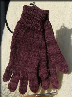 Gloves 004